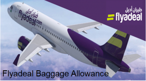 flybe baggage prices