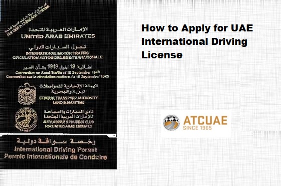 international driving license in california